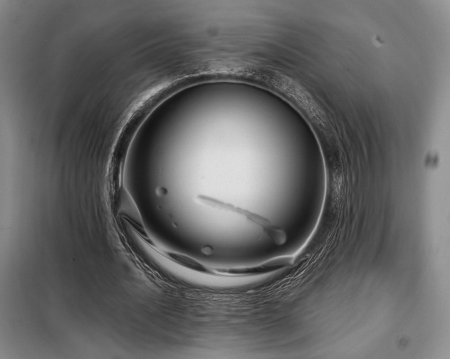 X0000099310628200805021315