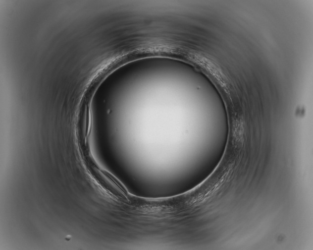 X0000099310629200805021315