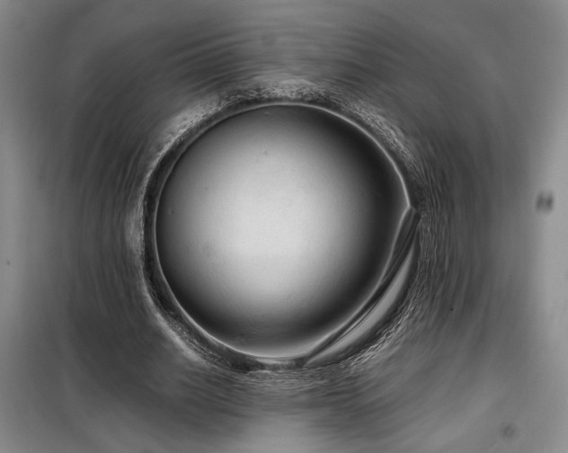 X0000099310630200805021315