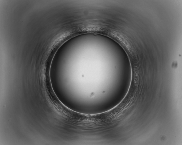 X0000099310631200805021315