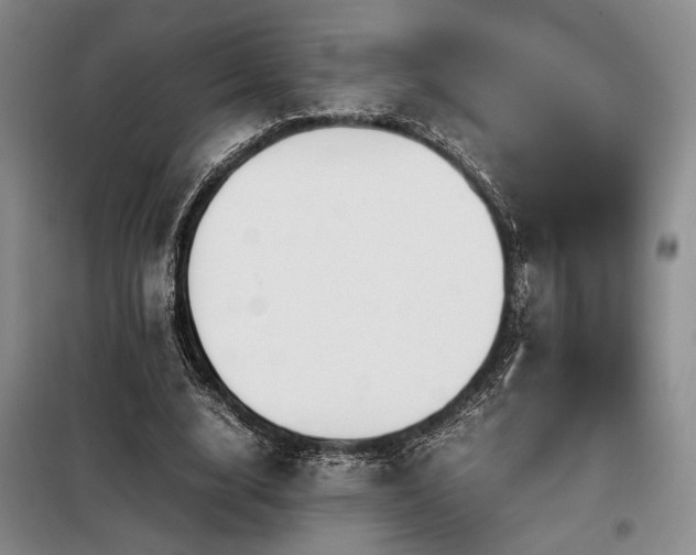 X0000099310632200805021315