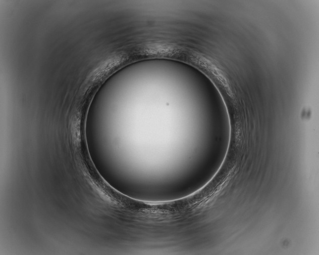 X0000099310633200805021315