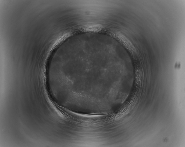X0000099310634200805021315
