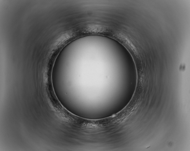 X0000099310635200805021315