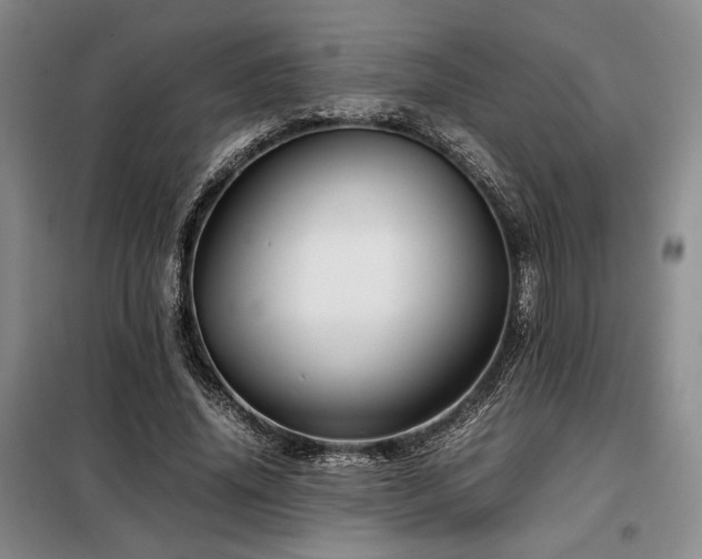 X0000099310636200805021315