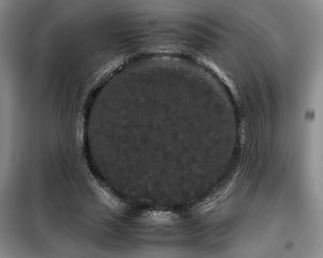X0000099310637200805021315