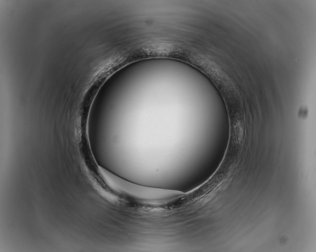 X0000099310638200805021315
