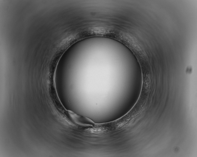 X0000099310639200805021315