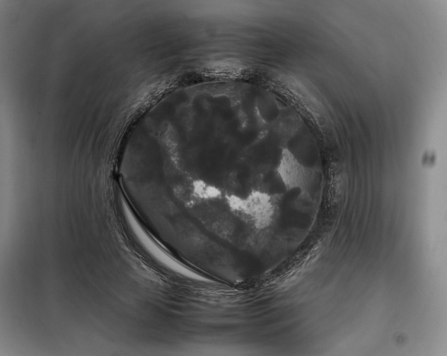 X0000099310641200805021315