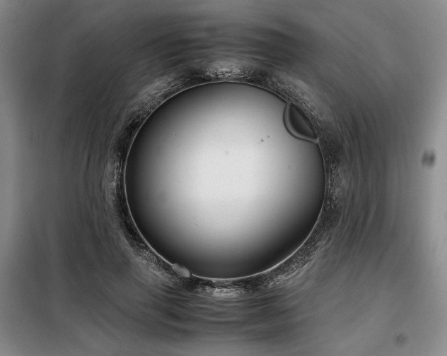 X0000099310645200805021315