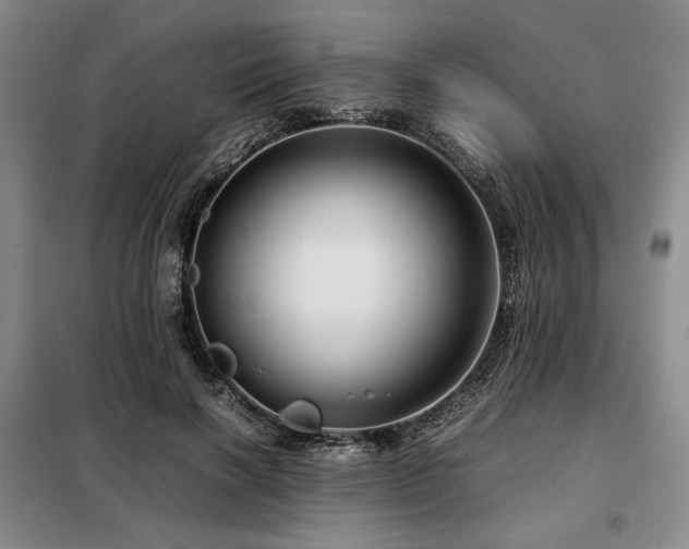 X0000099310646200805021315
