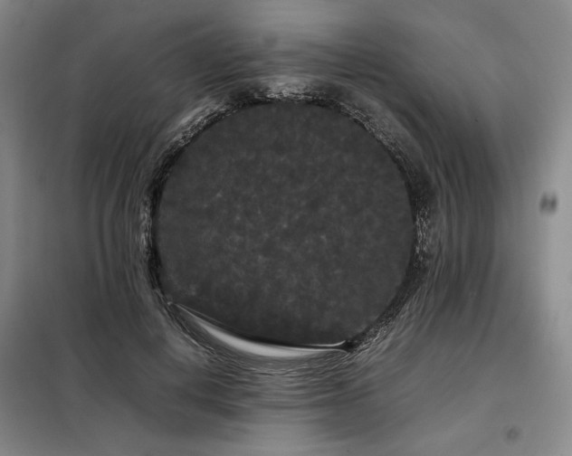X0000099310648200805021315