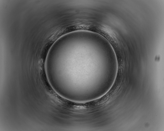 X0000099310649200805021315