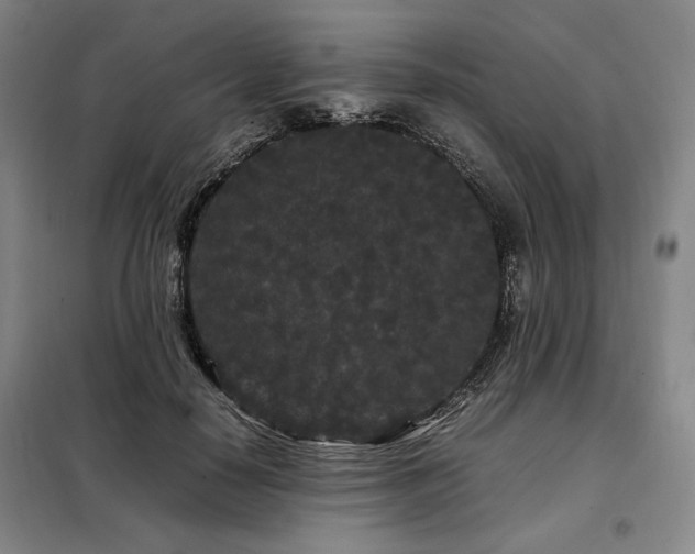 X0000099310650200805021315