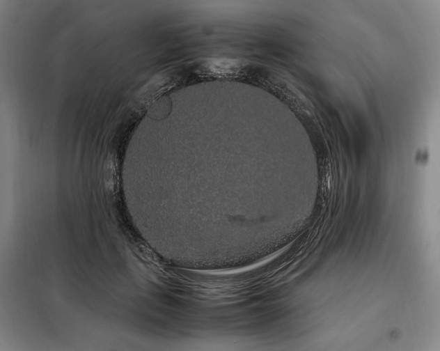 X0000099310651200805021315