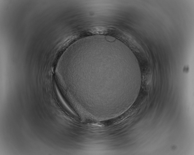 X0000099310652200805021315