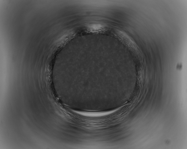 X0000099310653200805021315