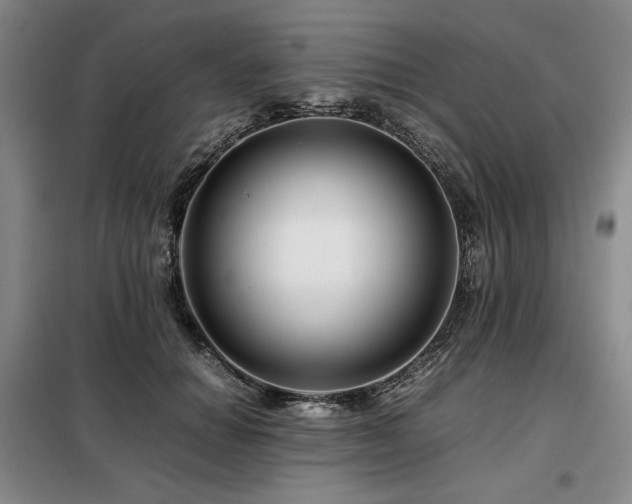 X0000099310654200805021315