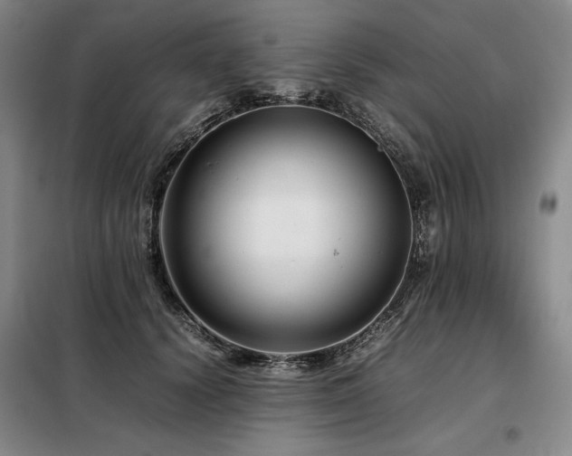 X0000099310656200805021315