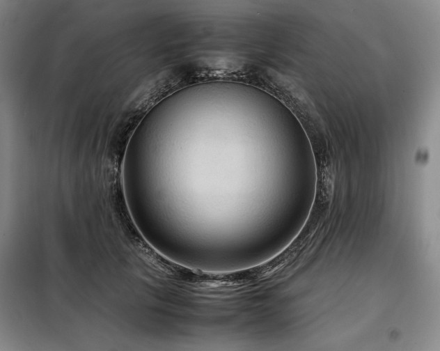 X0000099310657200805021315