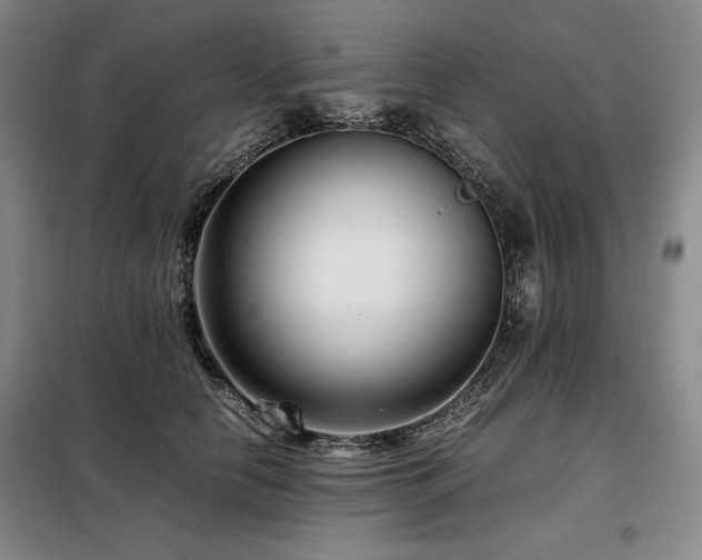 X0000099310658200805021315