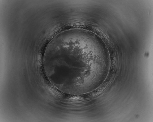 X0000099310659200805021315