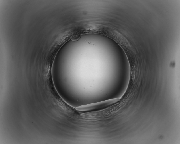 X0000099310660200805021315