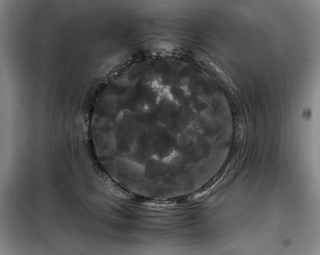X0000099310661200805021315
