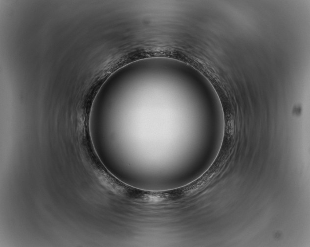 X0000099310662200805021315