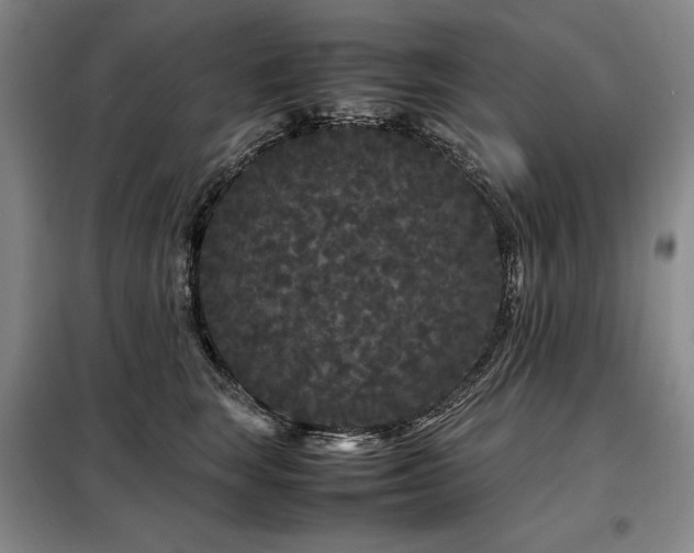 X0000099310663200805021315