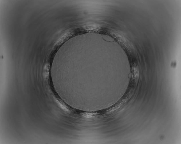 X0000099310664200805021315