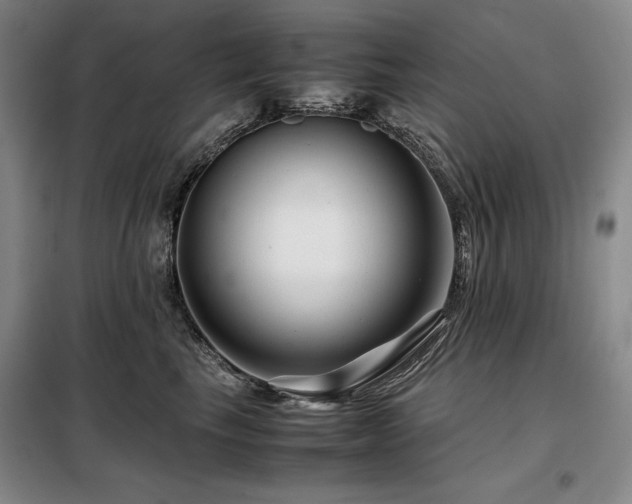 X0000099310665200805021315
