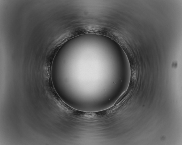 X0000099310666200805021315