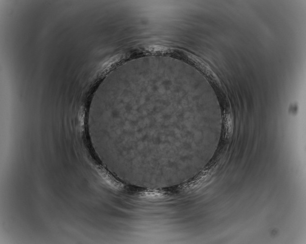 X0000099310668200805021315