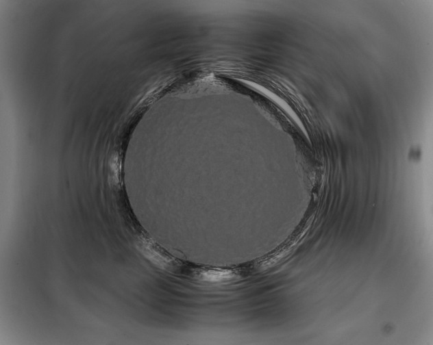 X0000099310669200805021315