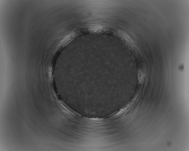 X0000099310670200805021315