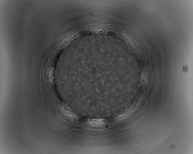 X0000099310671200805021315