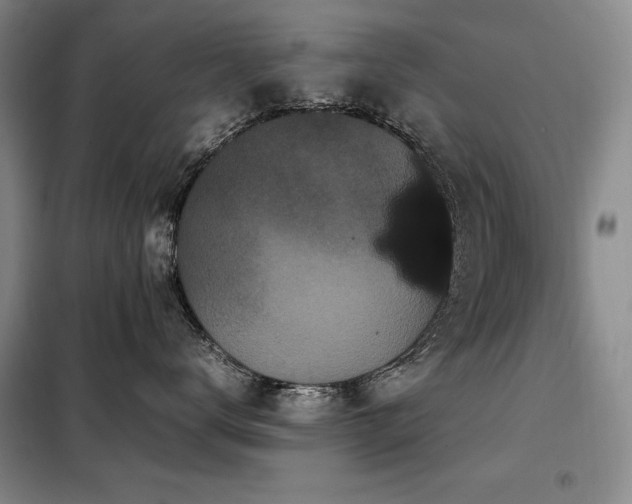 X0000099310672200805021315