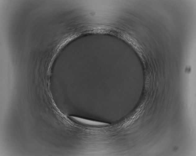 X0000099310673200805021315