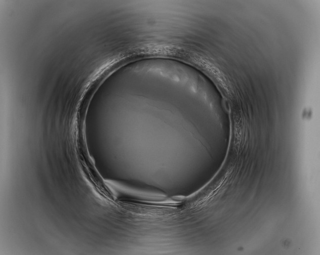 X0000099310674200805021315