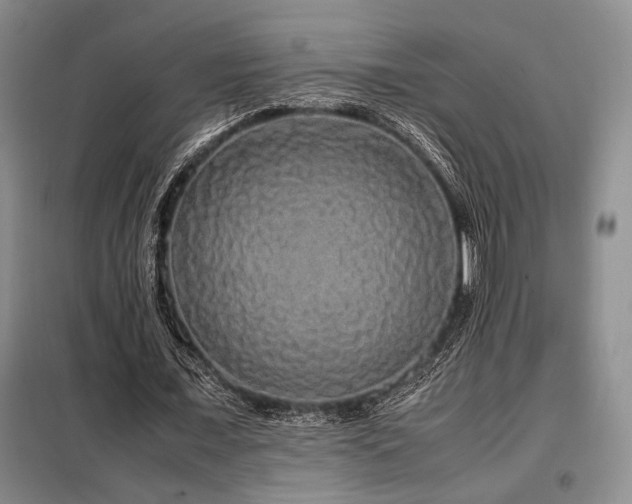 X0000099310675200805021315