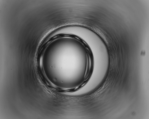 X0000099310676200805021315
