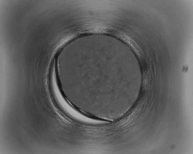 X0000099310677200805021315