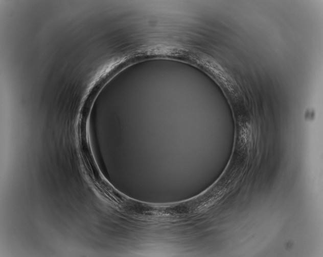 X0000099310678200805021315