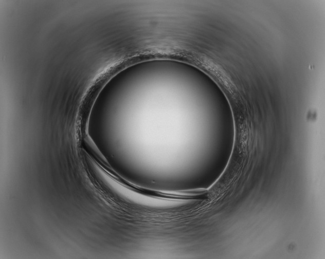 X0000099310680200805021315