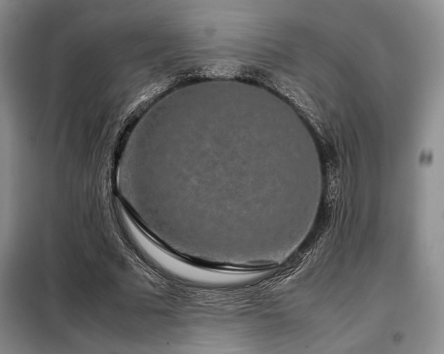 X0000099310681200805021314