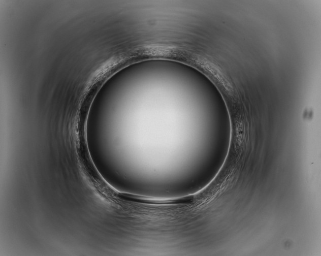 X0000099310682200805021314