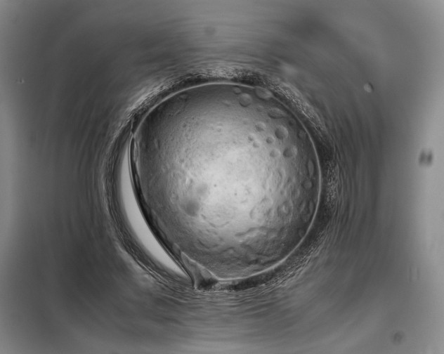X0000099310683200805021314