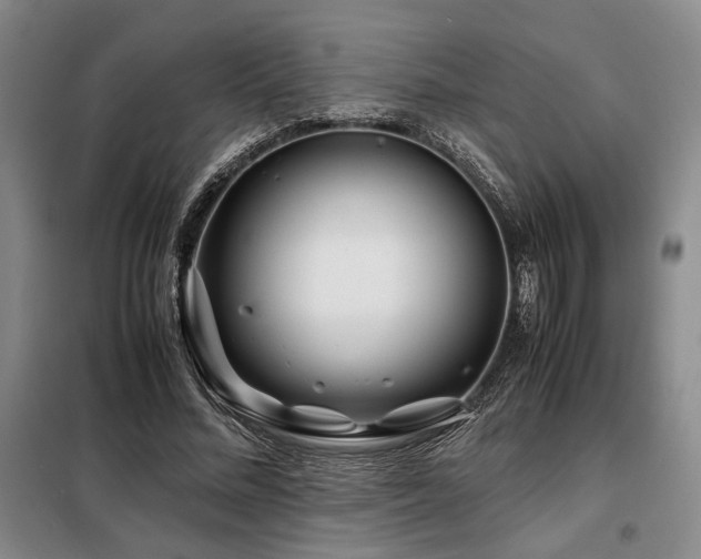 X0000099310684200805021314