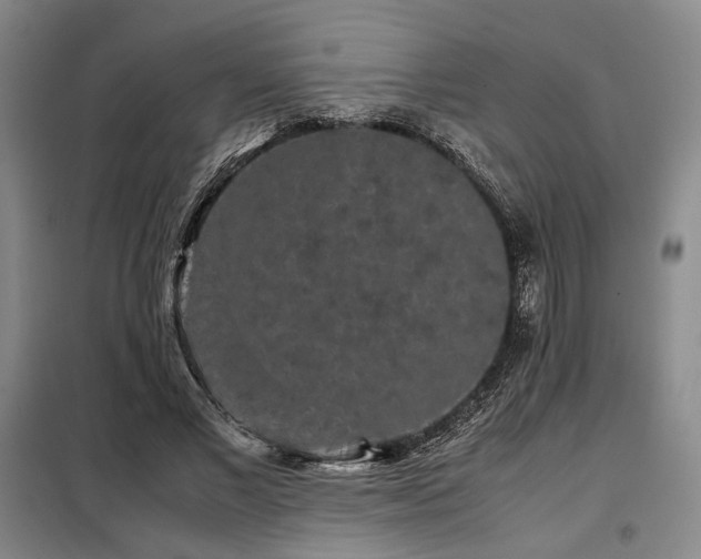 X0000099310685200805021314